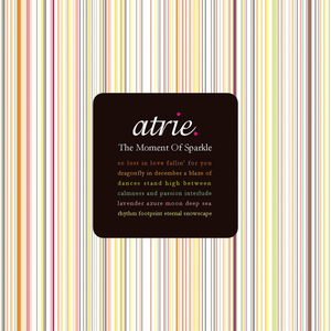 Dragonfly in December