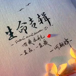 生命的追忆，世界因你而亮