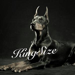 Kingsize