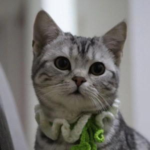 好想大声说爱你伴奏