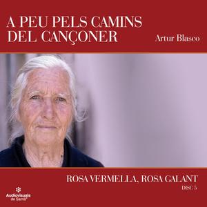 Perpinyà n'és bona vila