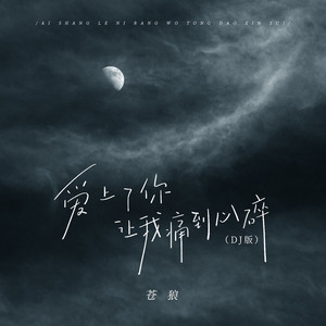 爱上了你让我痛到心碎 (DJBanan版)