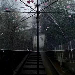 倘若你遇见了真正的爱