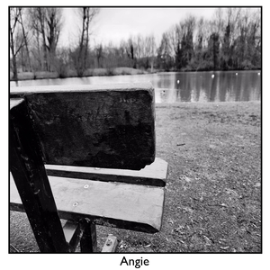 angie