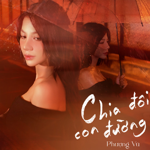 Chia Đôi Con Đường (Lofi Version)