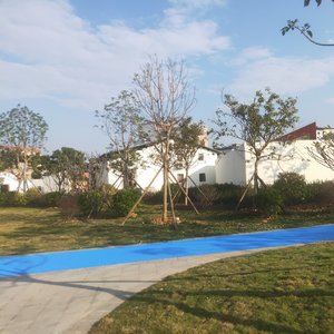 岁月花开(ai国语版)