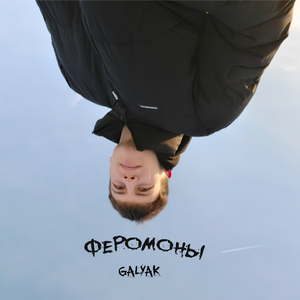 Феромоны