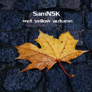 Wet Yellow Autumn (Original Mix)