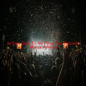 Je Sais Que Tu Ne Peux Pas Trouver Mieux Ailleurs (Complete version originally performed by Johnny Hallyday)