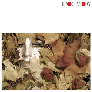 I'm Limited in Vision