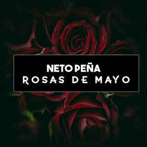 Rosas de Mayo