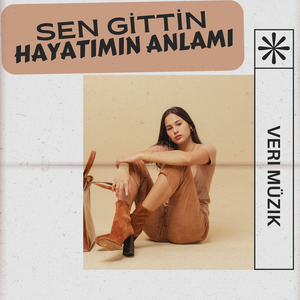 Sen Gittin Hayatımın Anlamı