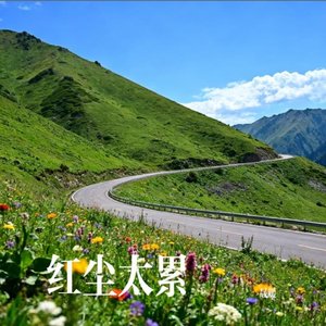 红尘太累