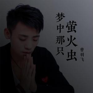 梦中那只萤火虫（伴奏）