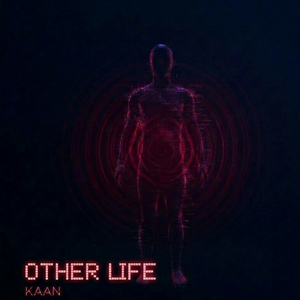 Other Life