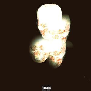 lion(prod.Glidebeats)