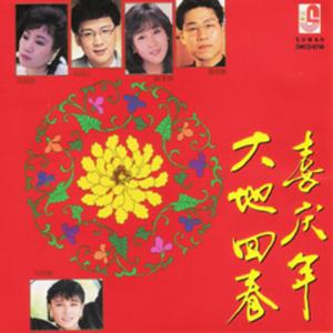 欢欢喜喜过新年