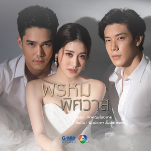 เจ้าหญิงในนิยาย (เพลงประกอบละคร "พรหมพิศวาส")