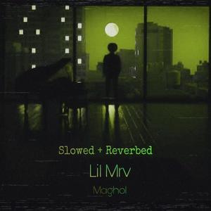 Maghol (feat. Dj DawSha) (Slowed & reverb)