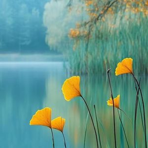 重新定义的自我