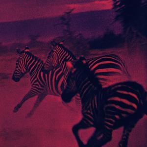 The Truman Show (feat. aneseyings)