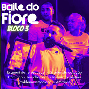 Baile do Fiore: Esqueci de Te Esquecer / Grades do Coração / Domingo / Teu Chamego / Insensato Destino / Problema Emocional / Amizade (Bloco 3) (Ao Vivo)