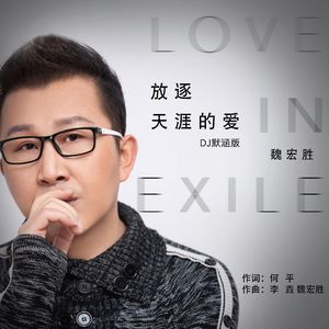 放逐天涯的爱(DJ默涵版)