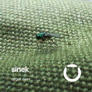 Sinek