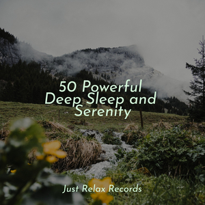 Waltzing Through Shadows