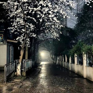 秋天不回来