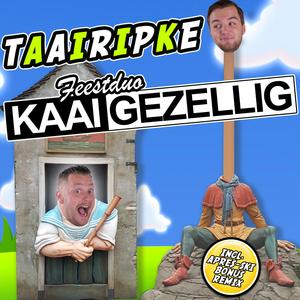 Taairipke (Apresski versie)