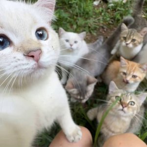 for ya(所有美好全部comeforya)