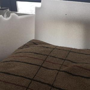 枕头(翻自 功夫胖)