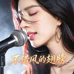 不借风的翅膀