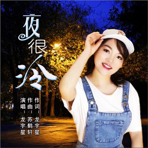 夜很冷