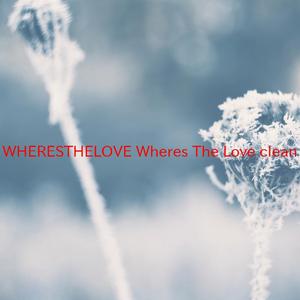 #WHERESTHELOVE (Where's The Love) (clean) (Tribute version originally performed by The Black Eyed Peas feat. The World)