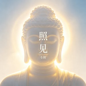 照见
