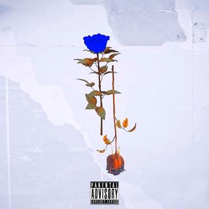 蓝（2：00 Remix）