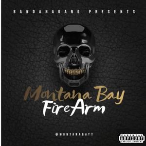 Firearm