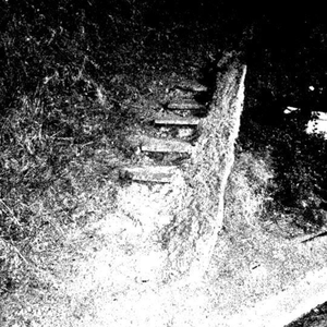 The Remains of Human Bones