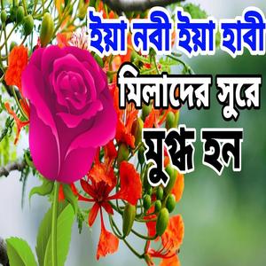 ইয়ানাবি সালামালাইকা ওগো নবী কামলিওয়ালা দুরুদ শরীফ।New Durud sorif