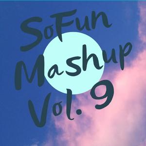 Lean On Garados（DJ-SoFun Mashup）