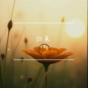 踏云归来