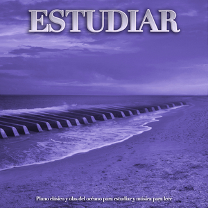 Sugar Plum Fairy - Tchaikovsky - Ocean Waves - Classical Piano