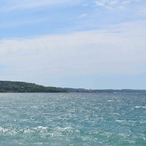 Winner Winner Chicken Dinner