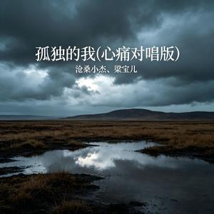 孤独的我(心痛对唱版)