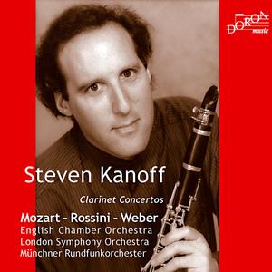 Clarinet Concerto No. 1 in F Minor, Op. 73: I. Allegro