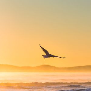 隐形的翅膀 口哨版