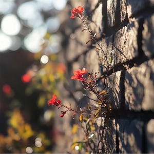 原来牛和我都有同样的致命弱点