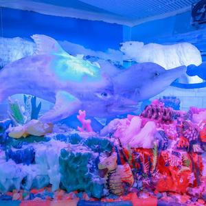 盛夏派对+海边余晖